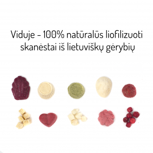 Bruzdukų advento kalendorius - 10 skirtingų liofilizuotų skanėstų